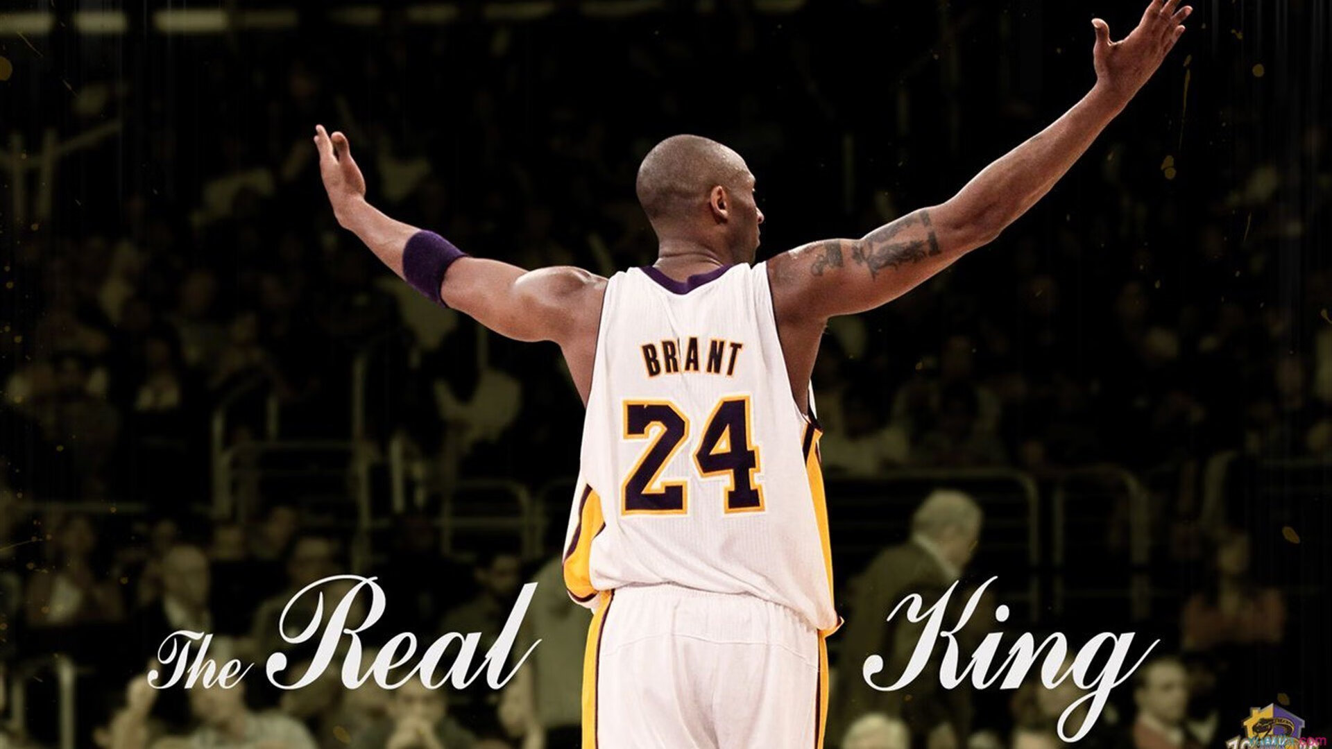 体育赛事年度总结