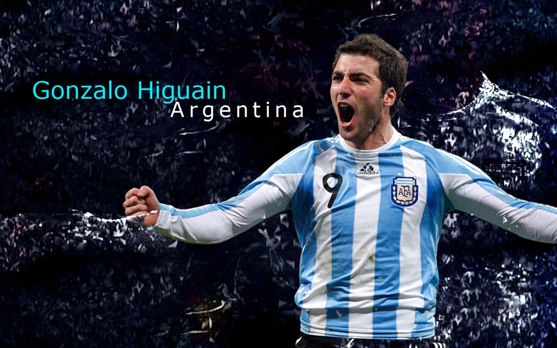 黑马选手逆袭夺得冠军